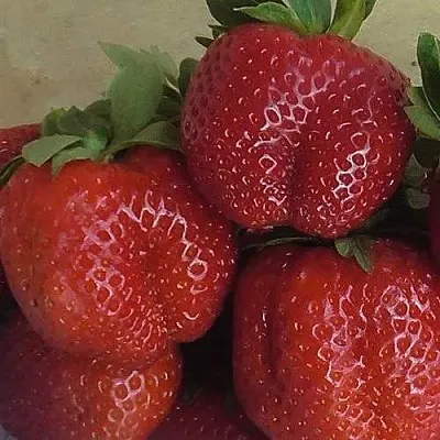 Клубника ДЕСТЕНИ  Клубника ДЕСТЕНИ в Калуге