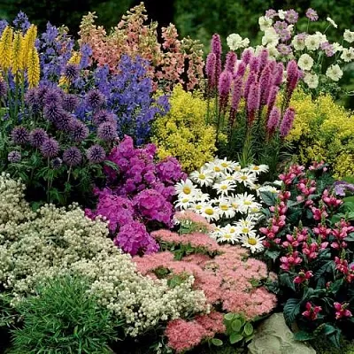 Травы в Калуге