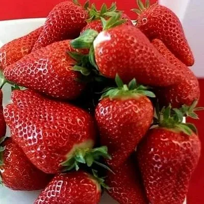 Клубника БРИЛЛА  Клубника БРИЛЛА в Калуге