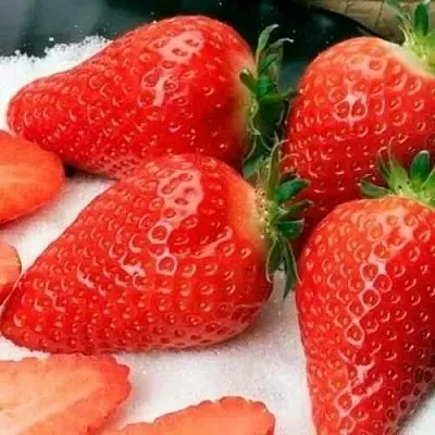 Клубника АЛЬБА  Клубника АЛЬБА в Калуге